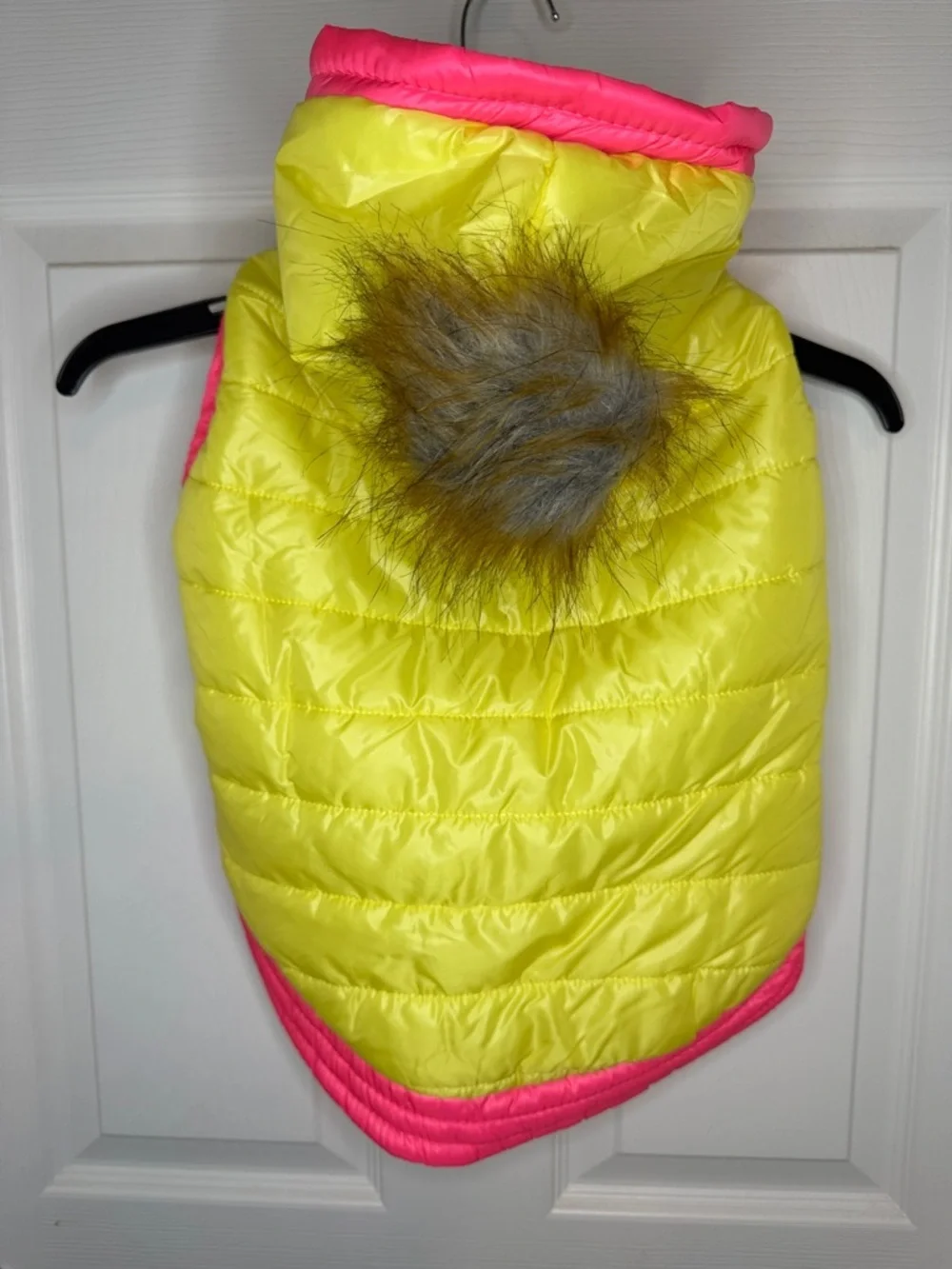 Top Paw bright neon